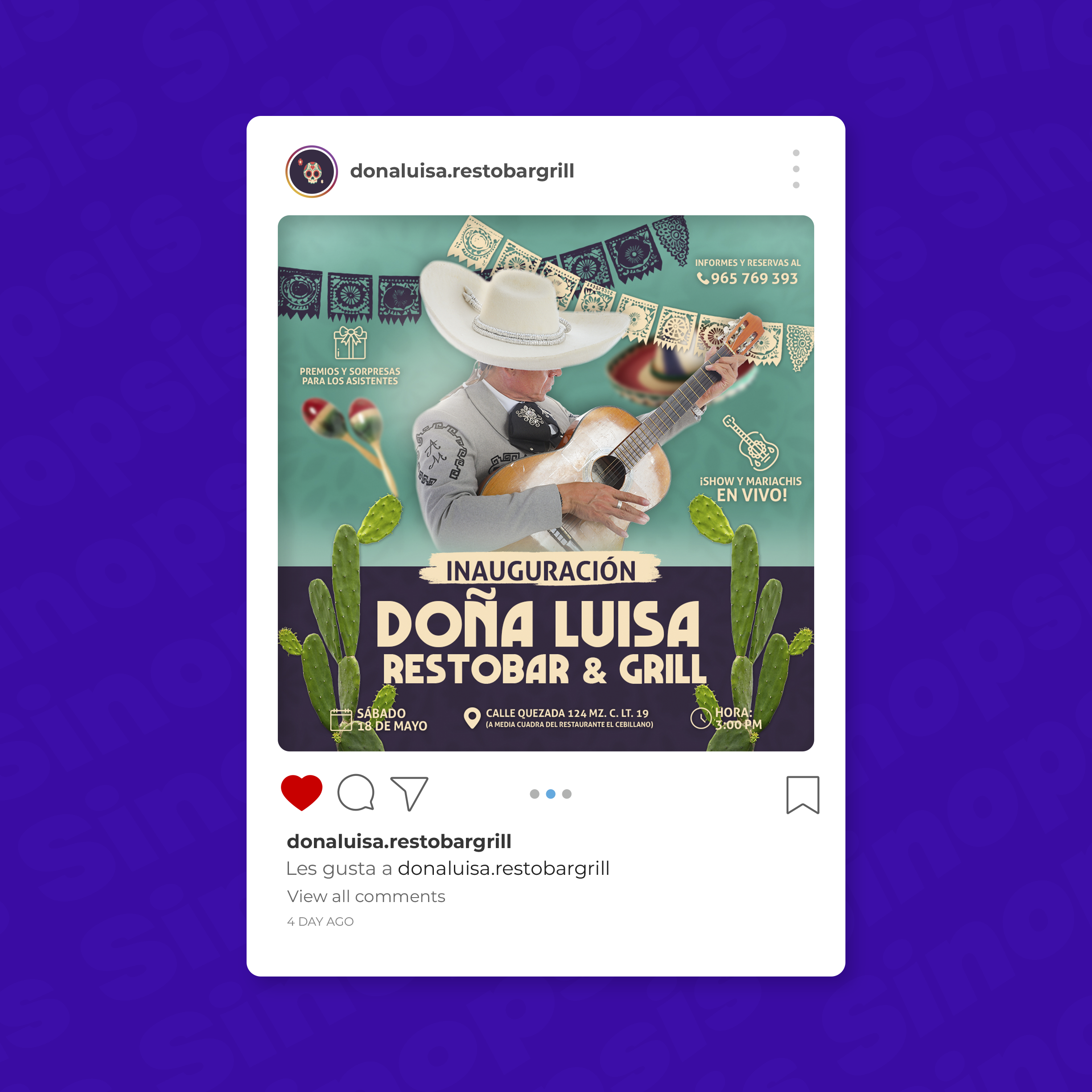 propuesta-linea-grafica-dona-luisa